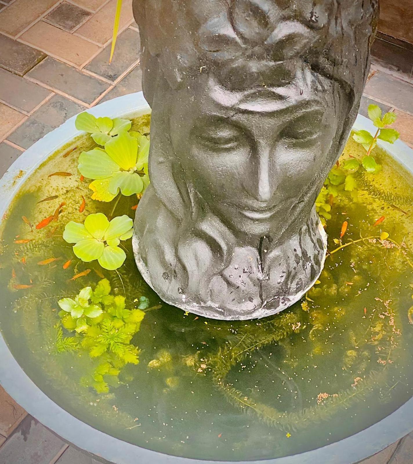 Airport Faith Hotel Katunayaka Екстериор снимка